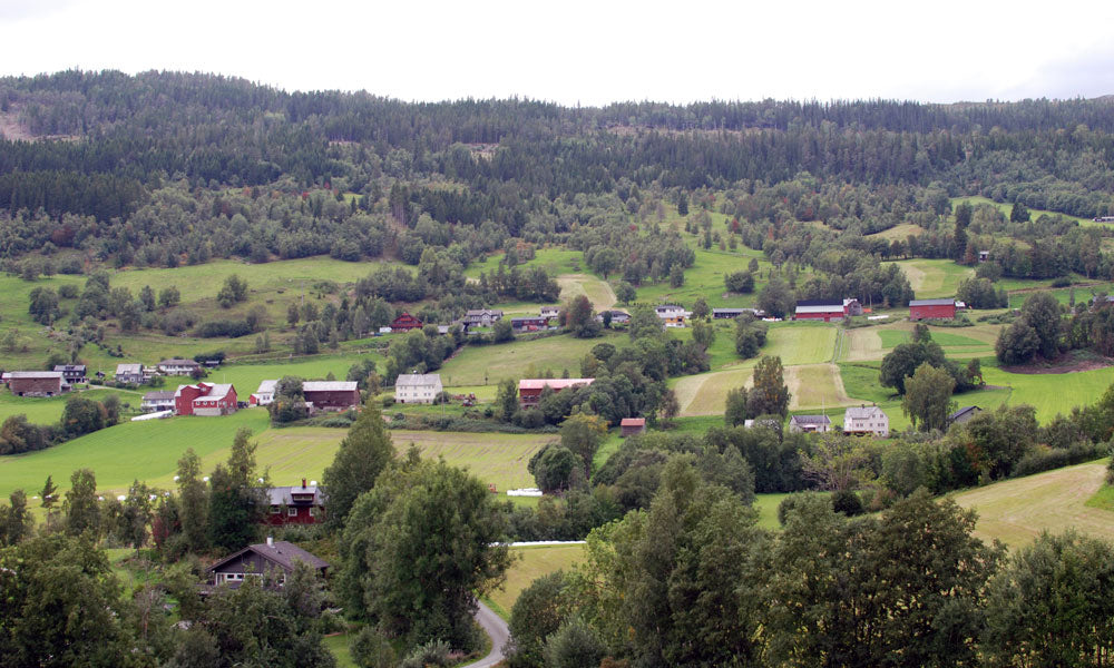 On The Kveik Trail